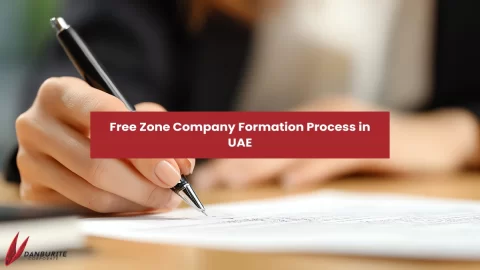 FREE ZONE COMPANY FORMATION PROCESS IN UAE 
