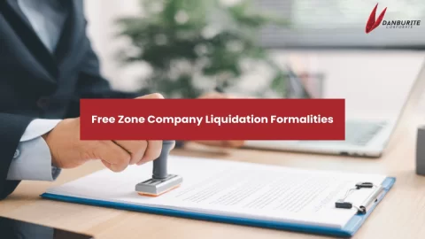 FREE ZONE COMPANY LIQUIDATION FORMALITIES
