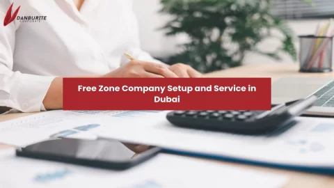 FREE ZONE COMPANY SETUP AND SERVICES IN DUBAI