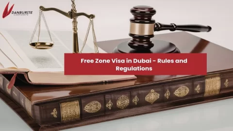 Free Zone Visa in Dubai - Rules and Regulations