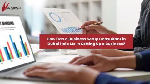 How Can a Business Setup Consultant in Dubai Help Me in Setting Up a Business?