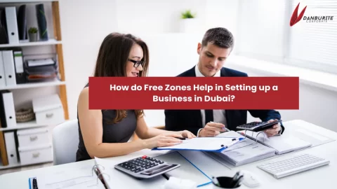 How do Free Zones Help in Setting up a Business in Dubai?