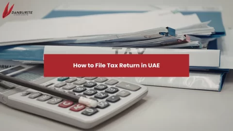 How to File Tax Return in UAE