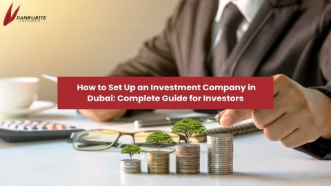 How to Set Up an Investment Company in Dubai: Complete Guide for Investors
