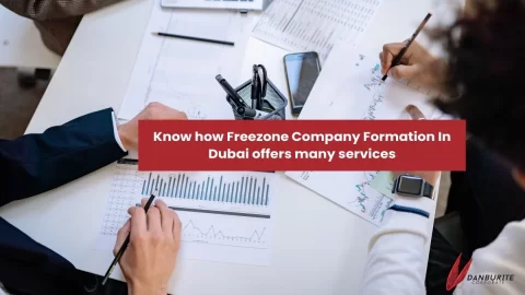 Know how Freezone Company Formation In Dubai offers many services