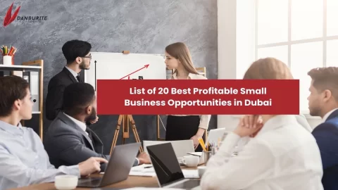 List of 20 Best Profitable Small Business Opportunities in Dubai
