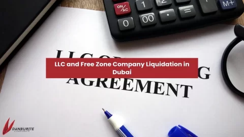 LLC AND FREE ZONE COMPANY LIQUIDATION IN DUBAI
