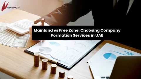 Mainland vs Free Zone: Choosing Company Formation Services in UAE