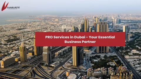 PRO Services in Dubai - Your Essential Business Partner