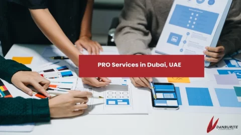 PRO Services in Dubai, UAE