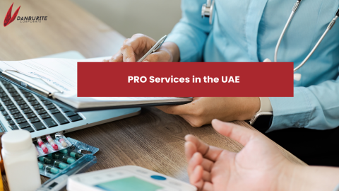 PRO Services in the UAE