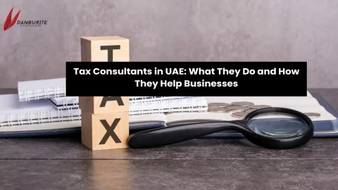 Tax Consultants in UAE: What They Do and How They Help Businesses