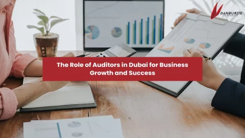 The Role of Auditors in Dubai for Business Growth and Success