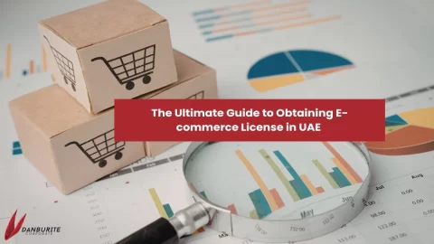The Ultimate Guide to Obtaining E-commerce License in UAE 