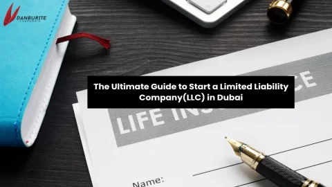 The Ultimate Guide to Start a Limited Liability Company(LLC) in Dubai