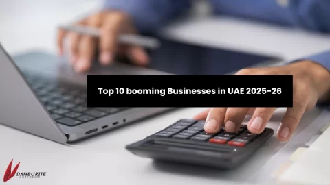 Top 10 booming Businesses in UAE 2025-26