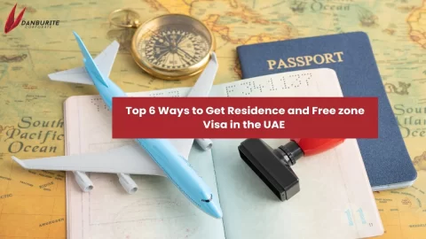 Top 6 Ways to Get Residence and Free zone Visa in the UAE 