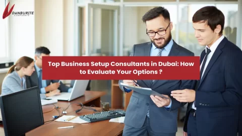 Top Business Setup Consultants in Dubai: How to Evaluate Your Options ?