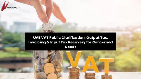 UAE VAT Public Clarification: Output Tax, Invoicing & Input Tax Recovery for Concerned Goods