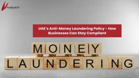 UAE’s Anti-Money Laundering Policy - How Businesses Can Stay Compliant