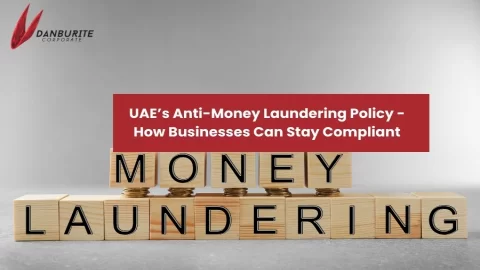 UAE’s Anti-Money Laundering Policy - How Businesses Can Stay Compliant