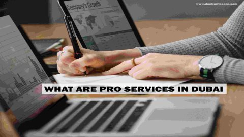 What Are PRO Services In Dubai
