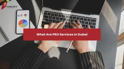 What Are PRO Services In Dubai