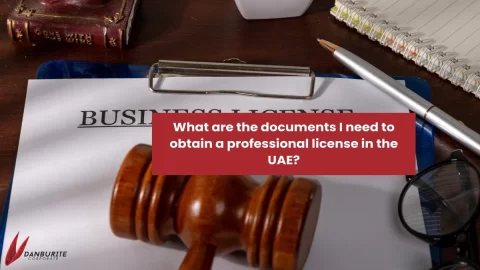 What are the documents I need to obtain a professional license in the UAE?