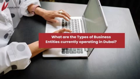 What are the Types of Business Entities currently operating in Dubai?