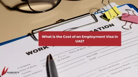 What is the Cost of an Employment Visa in UAE?