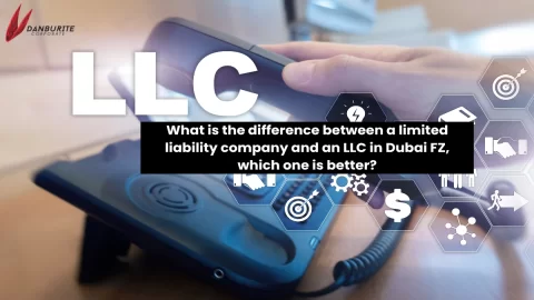 What is the difference between a limited liability company and an LLC in Dubai FZ which one is better