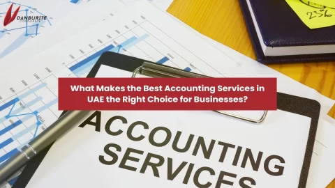 What Makes the Best Accounting Services in UAE the Right Choice for Businesses?