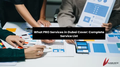 What PRO Services in Dubai Cover: Complete Service List