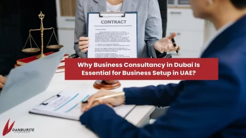 Why Business Consultancy in Dubai Is Essential for Business Setup in UAE?