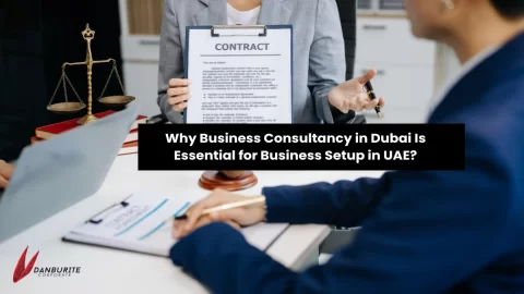 Why Business Consultancy in Dubai Is Essential for Business Setup in UAE?