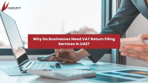 Why Do Businesses Need VAT Return Filing Services in UAE?