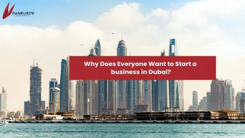 Why Does Everyone Want to Start a business in Dubai?