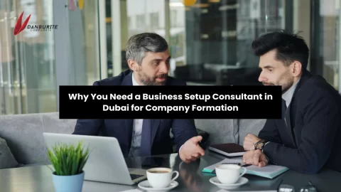 Why You Need a Business Setup Consultant in Dubai for Company Formation? 