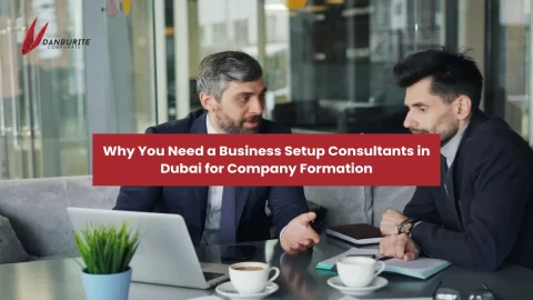 Why You Need a Business Setup Consultant in Dubai for Company Formation? 
