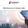PRO Services in the UAE.